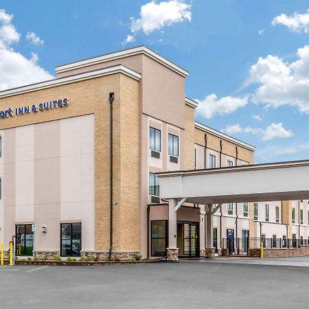 Comfort Inn & Suites Schenectady - Scotia Kültér fotó