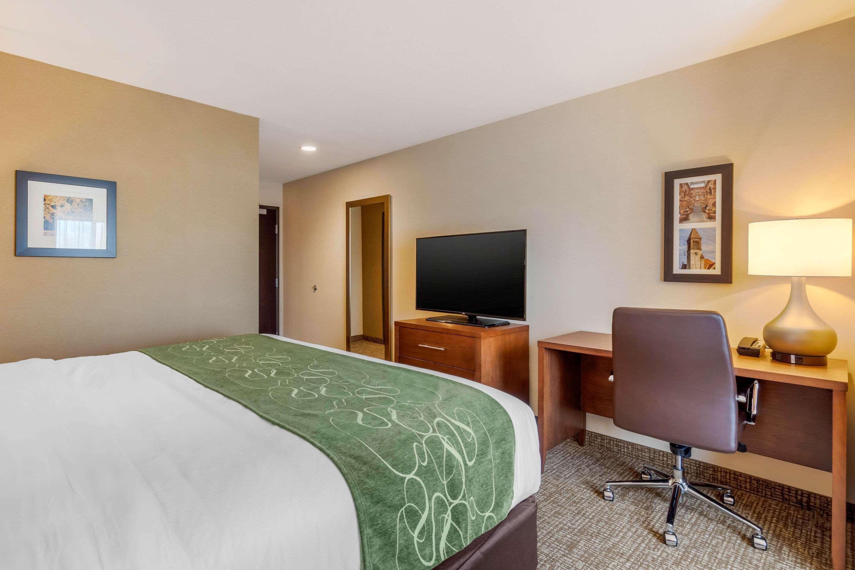 Comfort Inn & Suites Schenectady - Scotia Kültér fotó