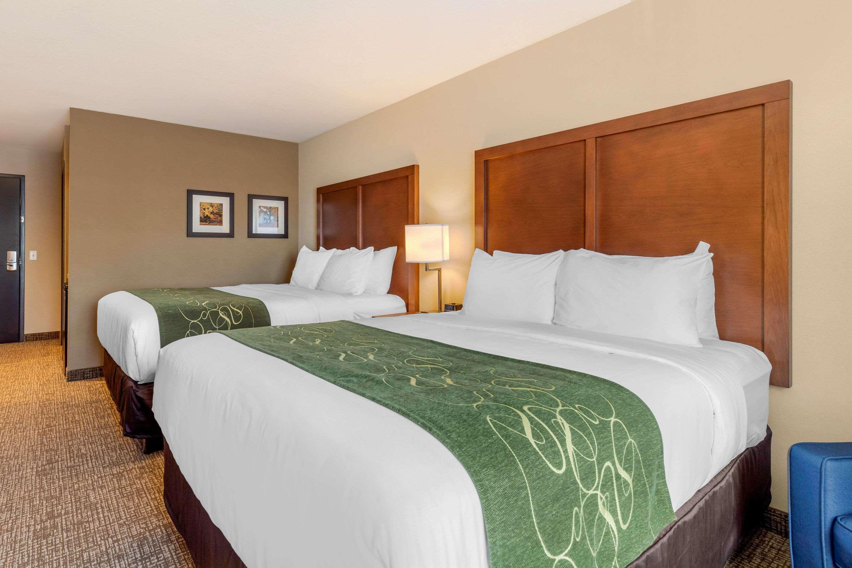 Comfort Inn & Suites Schenectady - Scotia Kültér fotó