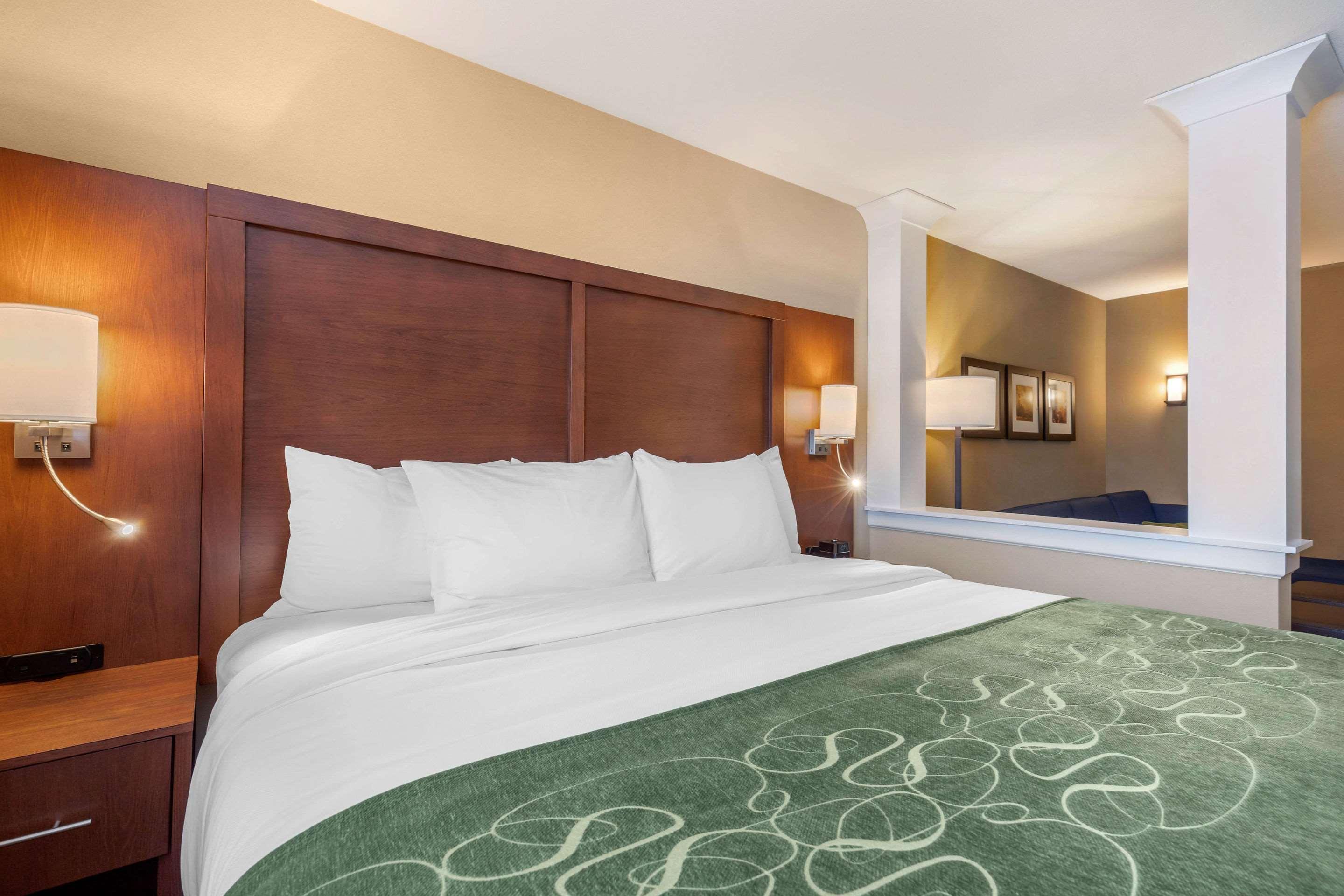 Comfort Inn & Suites Schenectady - Scotia Kültér fotó