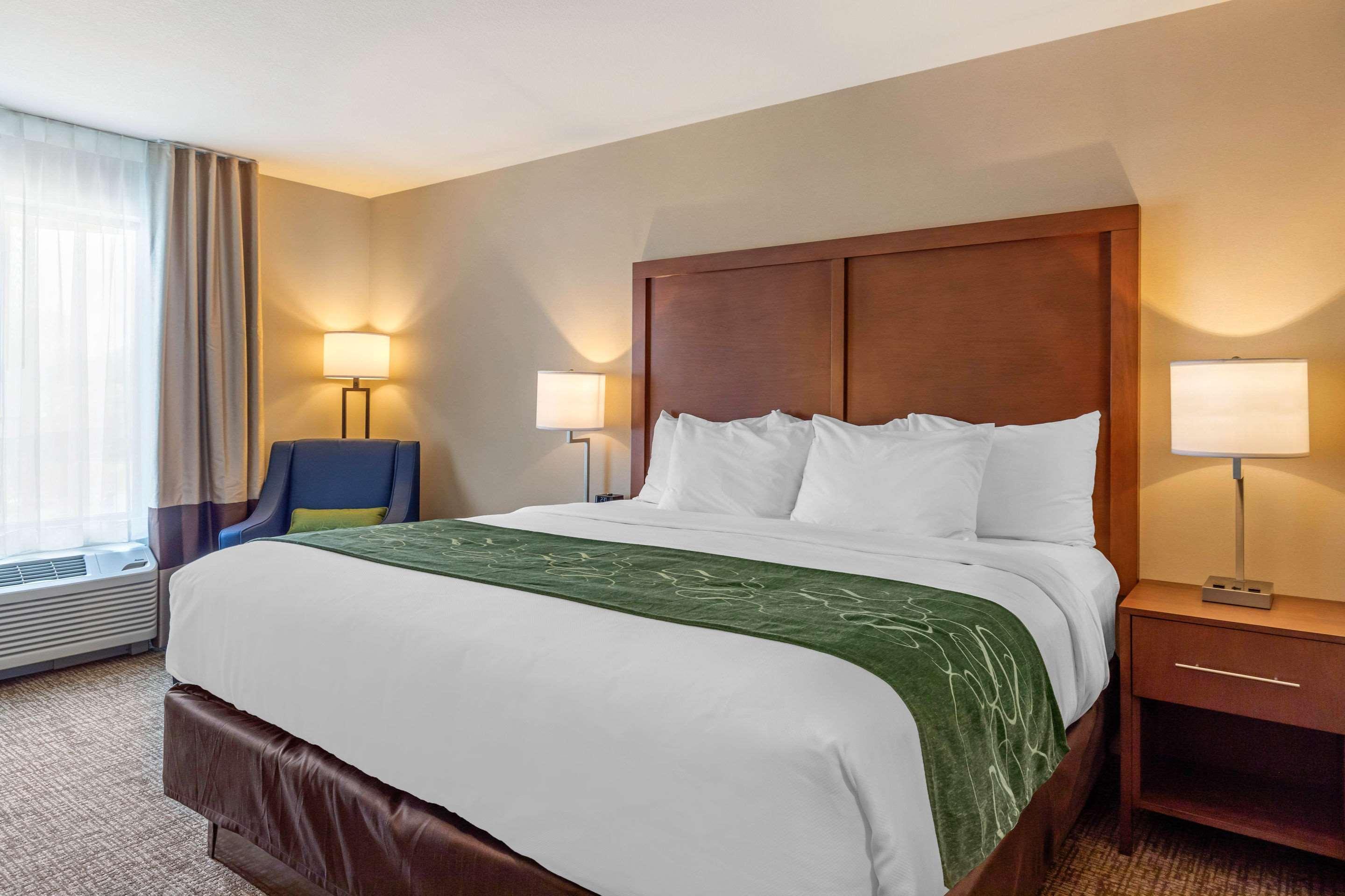 Comfort Inn & Suites Schenectady - Scotia Kültér fotó