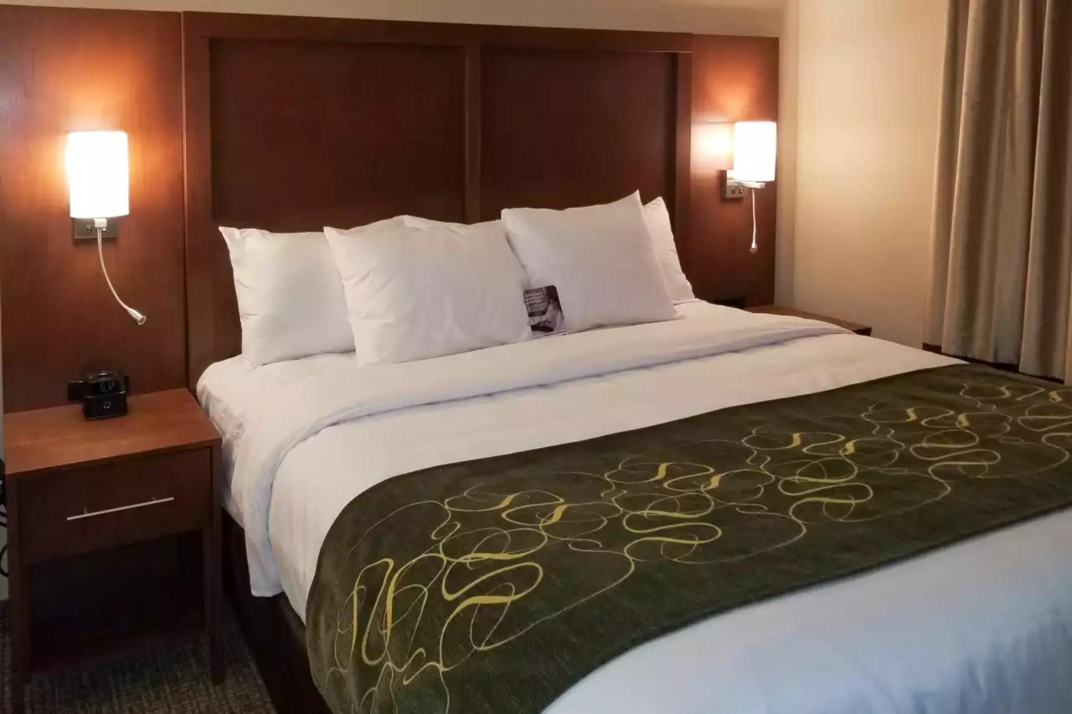 Comfort Inn & Suites Schenectady - Scotia Kültér fotó