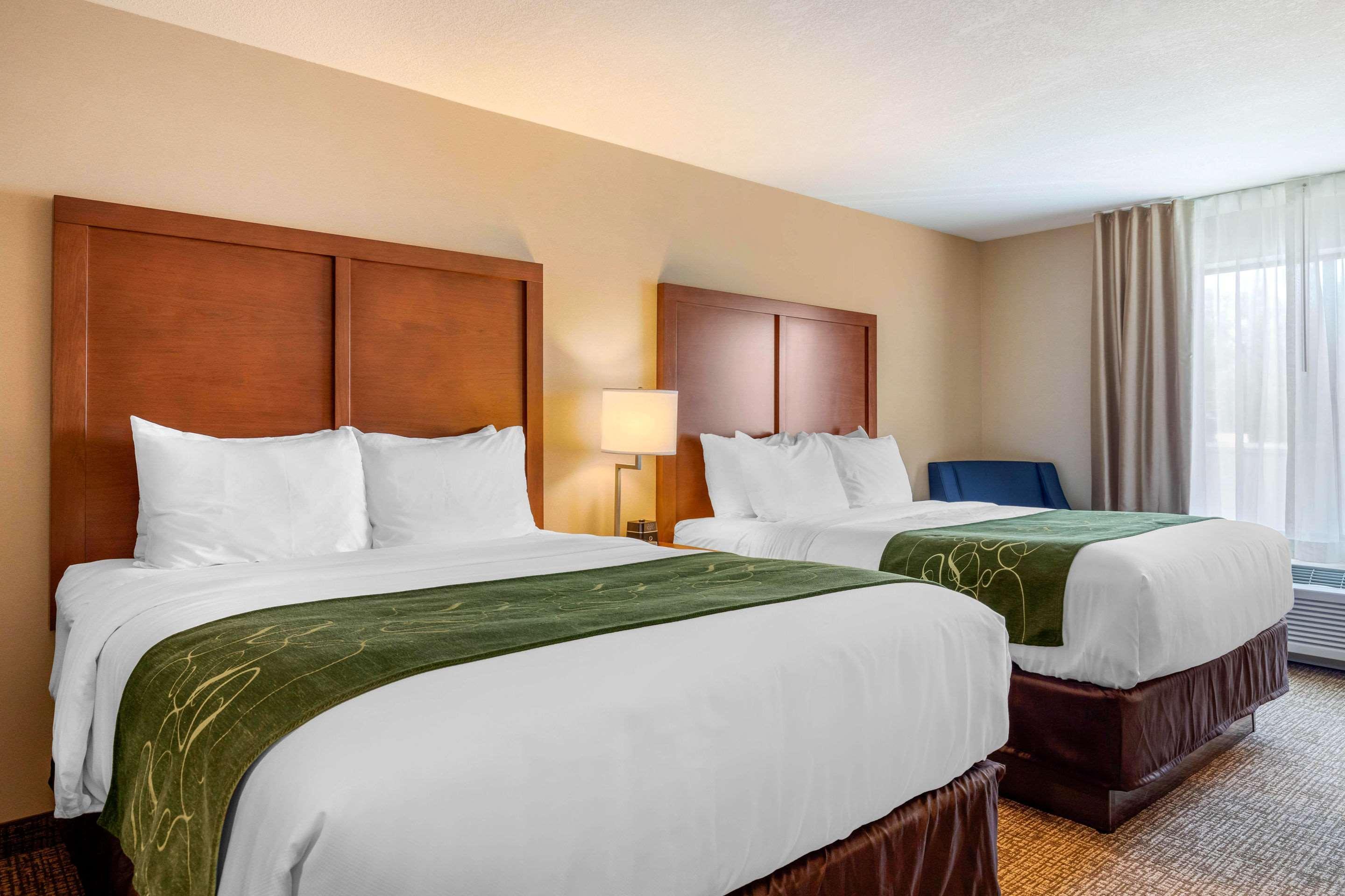 Comfort Inn & Suites Schenectady - Scotia Kültér fotó