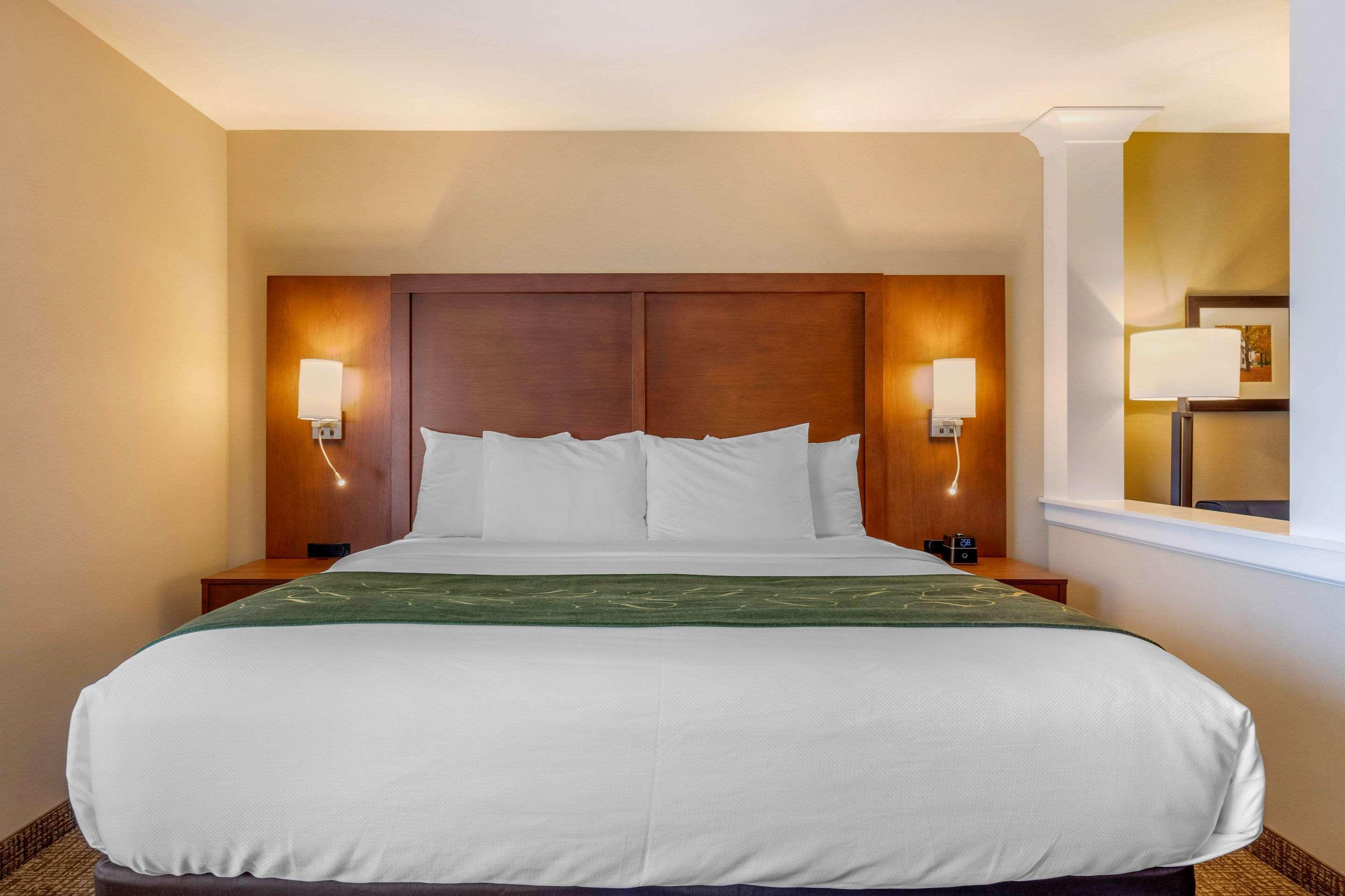 Comfort Inn & Suites Schenectady - Scotia Kültér fotó