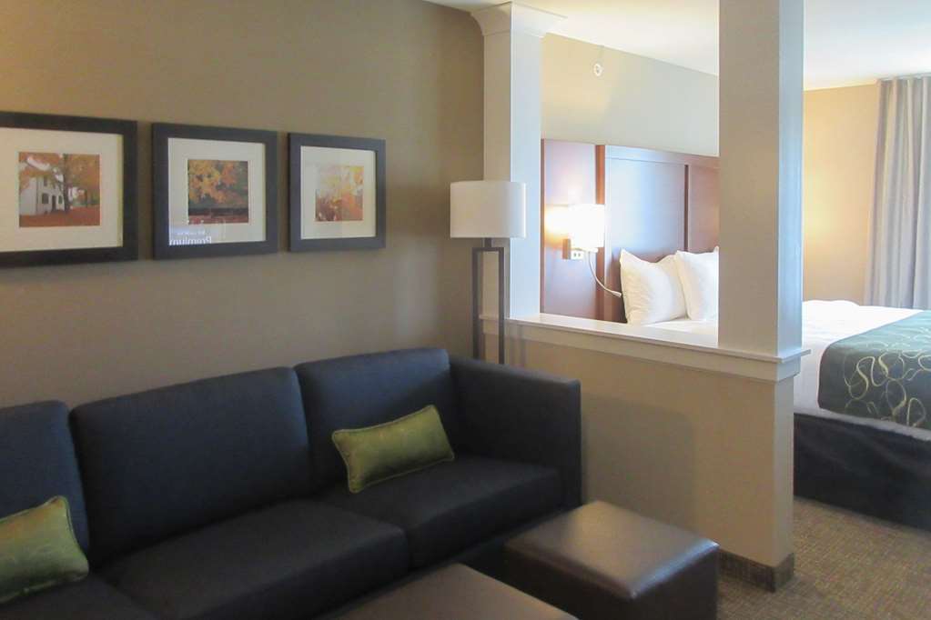 Comfort Inn & Suites Schenectady - Scotia Szoba fotó